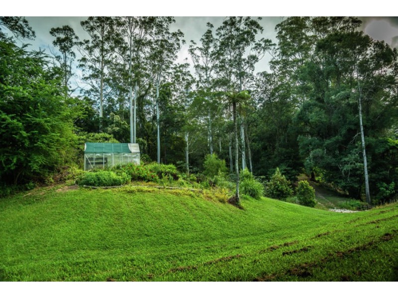 469 Kalang Road, Bellingen NSW 2454