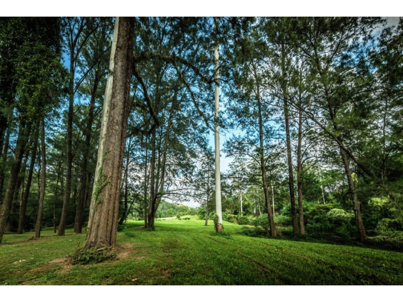 469 Kalang Road, Bellingen NSW 2454