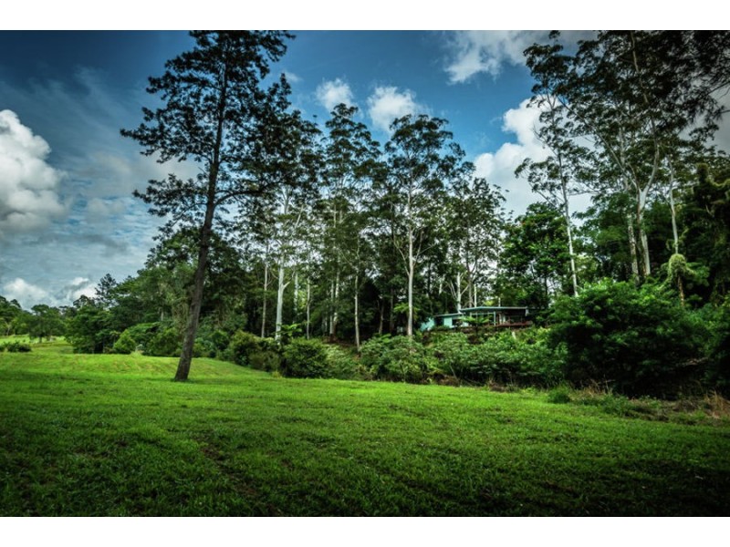 469 Kalang Road, Bellingen NSW 2454