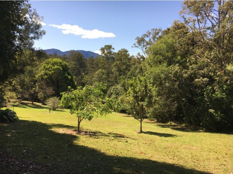 Gleniffer-Contact Agent, Bellingen NSW 2454
