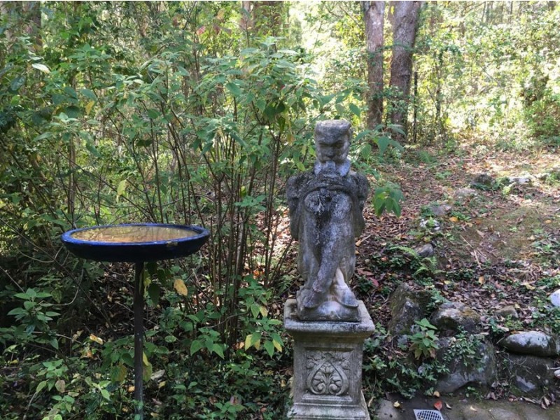 18 Ringwood Place, Bellingen NSW 2454