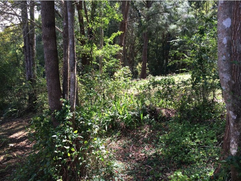 18 Ringwood Place, Bellingen NSW 2454