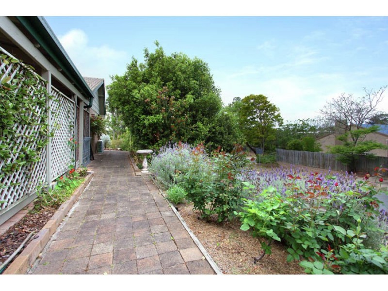 8 Limosa Street, Bellbowrie QLD 4070