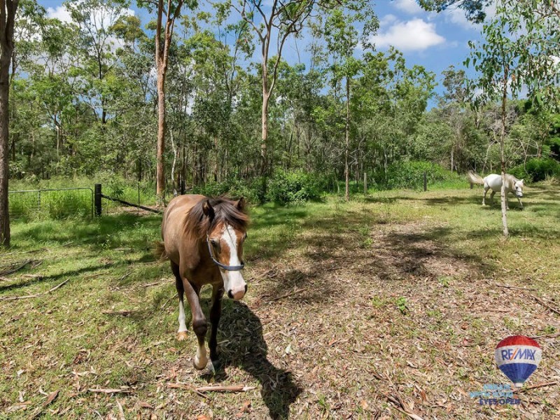 106 Arthur Summervilles Road, Karalee QLD 4306