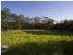 Alexandra Hills QLD 4161
