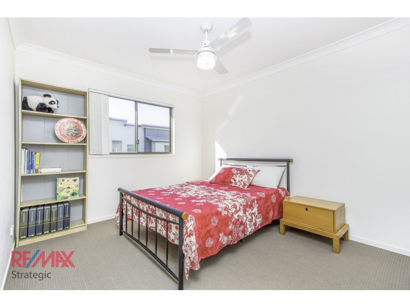 42/88 Candytuft Place, Calamvale QLD 4116
