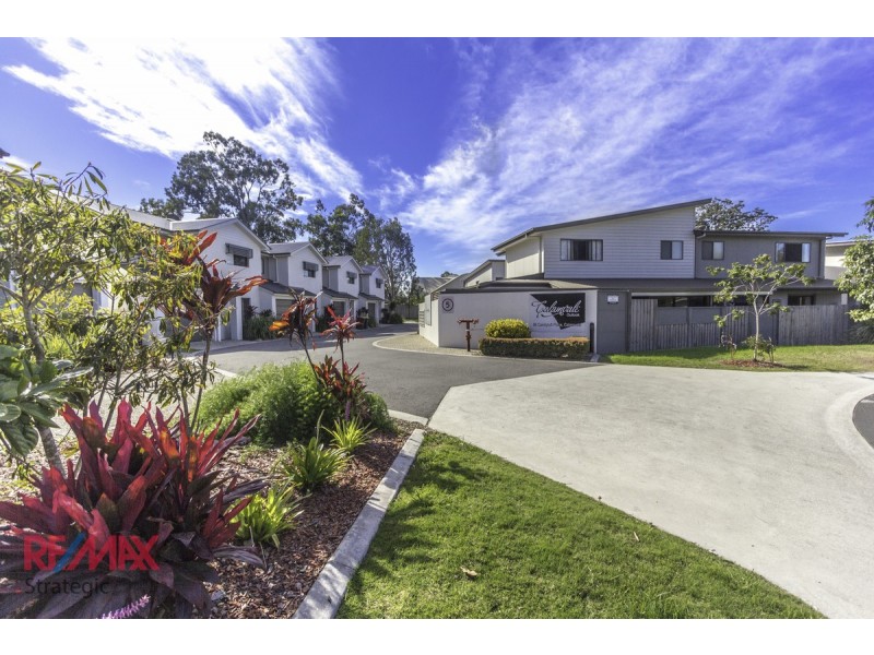 42/88 Candytuft Place, Calamvale QLD 4116