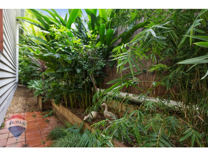 24 Sorrel Street, Paddington QLD 4064