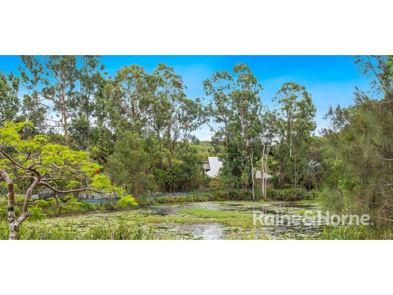 41 Muskheart Circuit, Pottsville NSW 2489