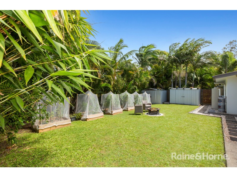 16 Sugar Glider Drive, Pottsville NSW 2489