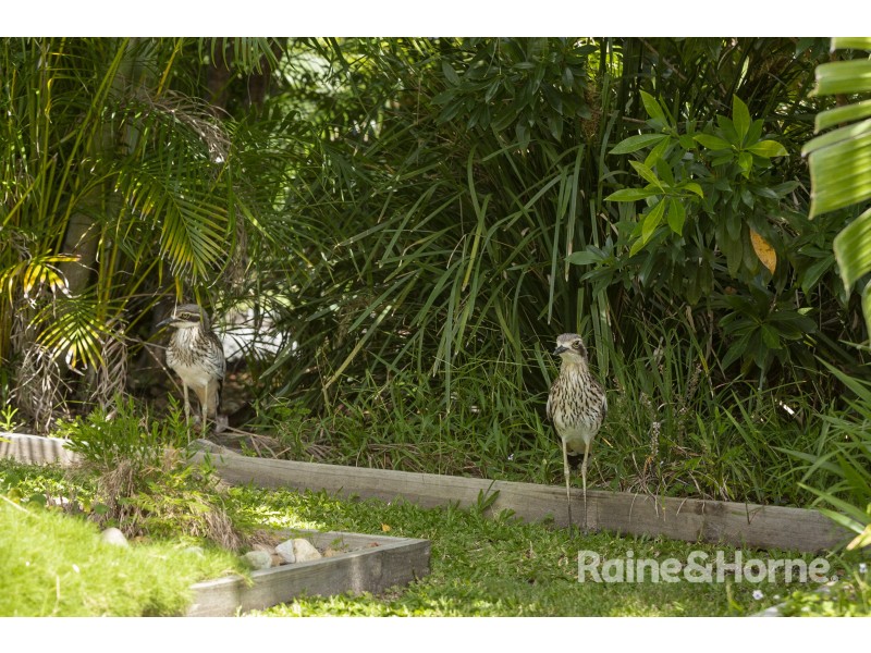 16 Sugar Glider Drive, Pottsville NSW 2489