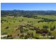 943 Pottsville Road, Cudgera Creek NSW 2484