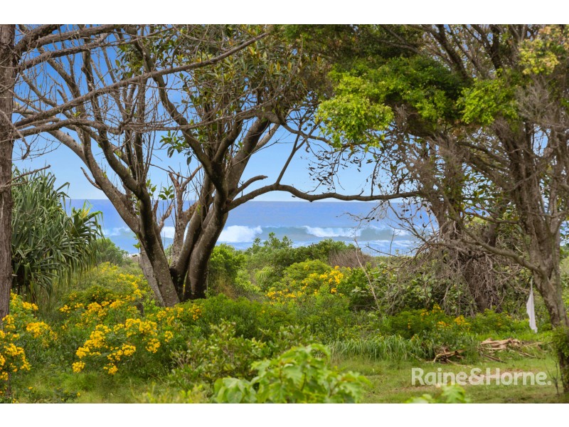 47 Elanora Avenue, Pottsville NSW 2489