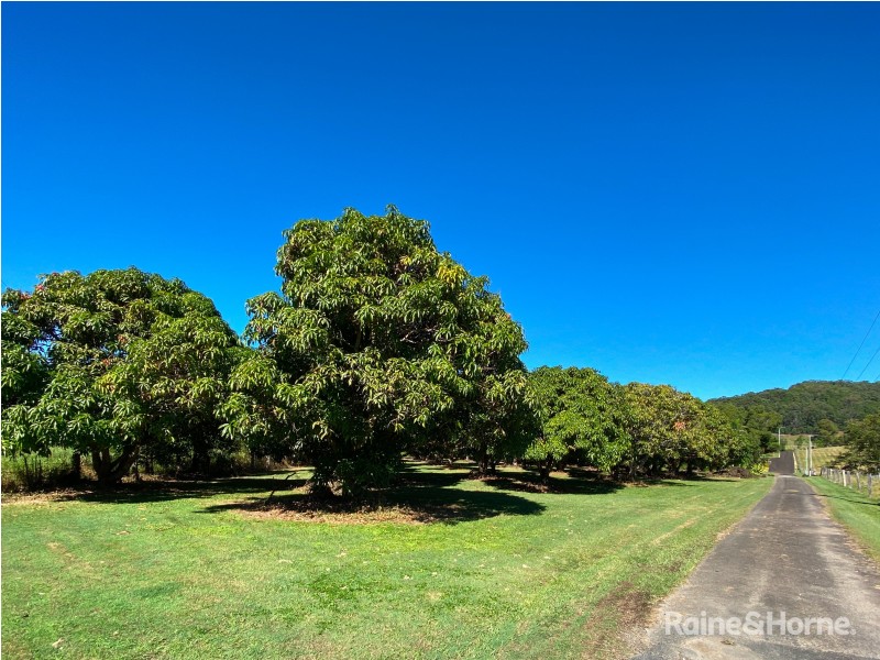 970 Cudgera Creek Road, Cudgera Creek NSW 2484