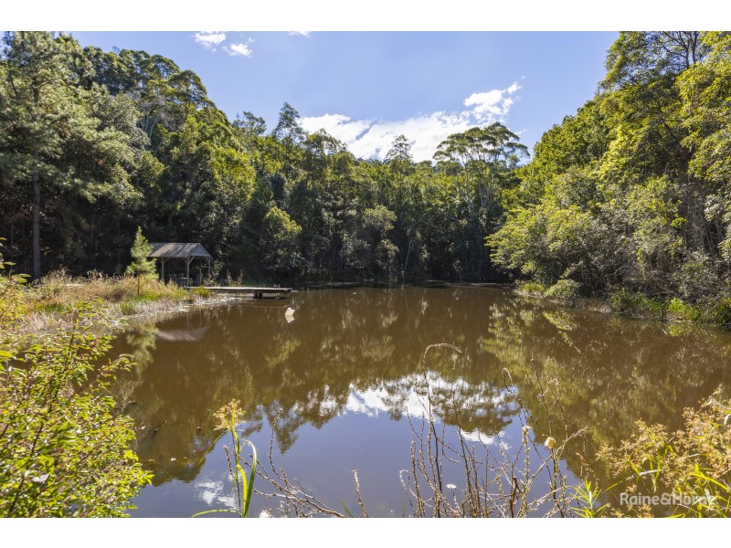 10/50 Double View Road, Farrants Hill NSW 2484