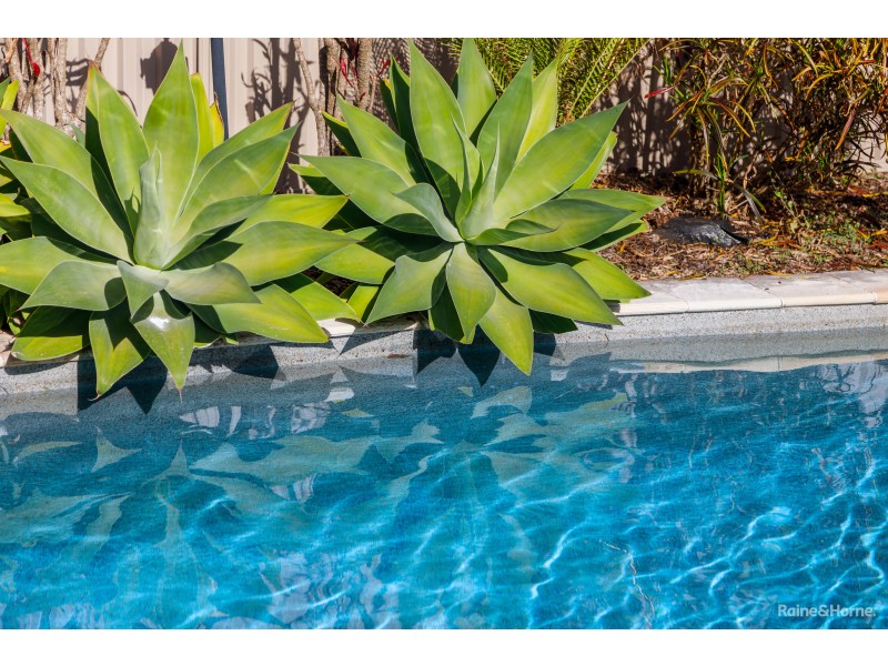 6 Windsor Court, Pottsville NSW 2489