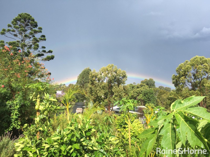 20 Hovea Drive, Pottsville NSW 2489