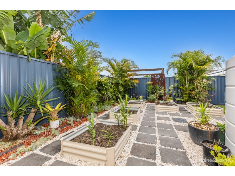 22 Toshack Place, Pottsville NSW 2489