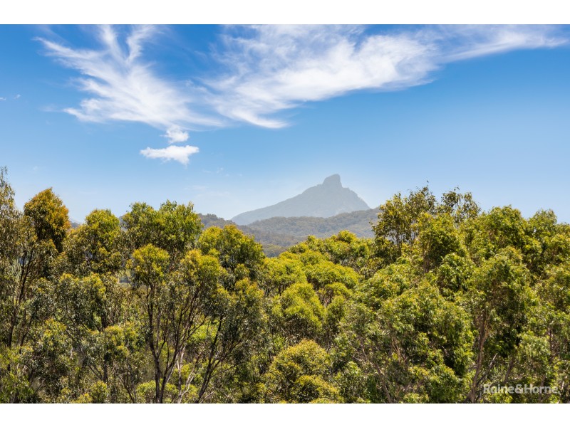 43 Marsupial Drive, Pottsville NSW 2489