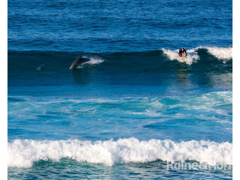 1/89 Grass Tree Circuit, Bogangar NSW 2488