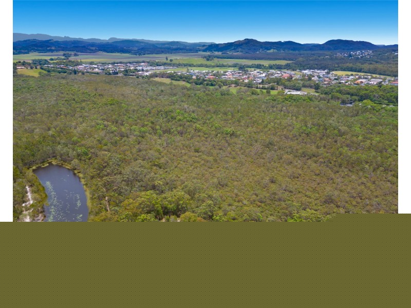 11 Caroline Street, Pottsville NSW 2489