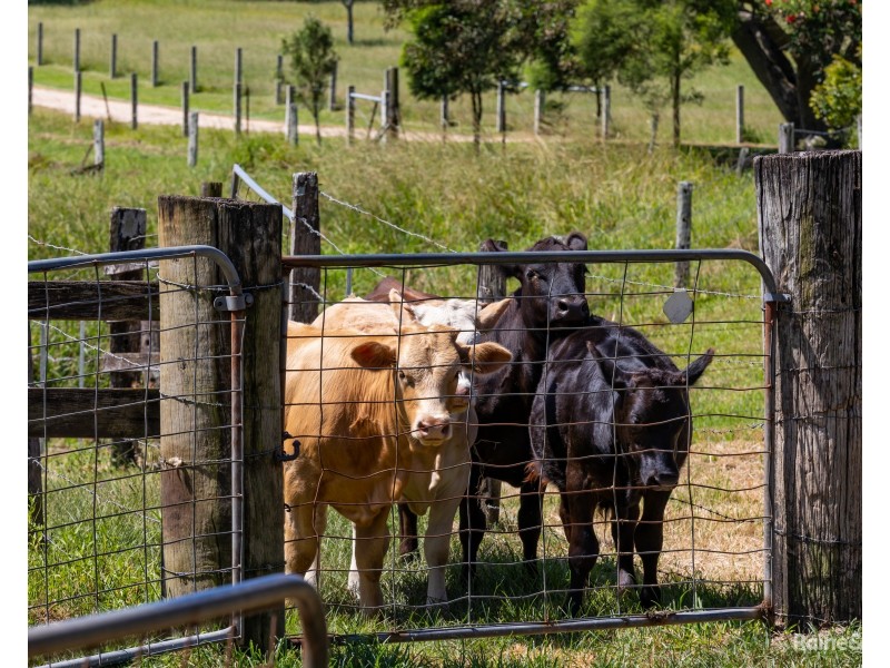 408 Eviron Road, Eviron NSW 2484