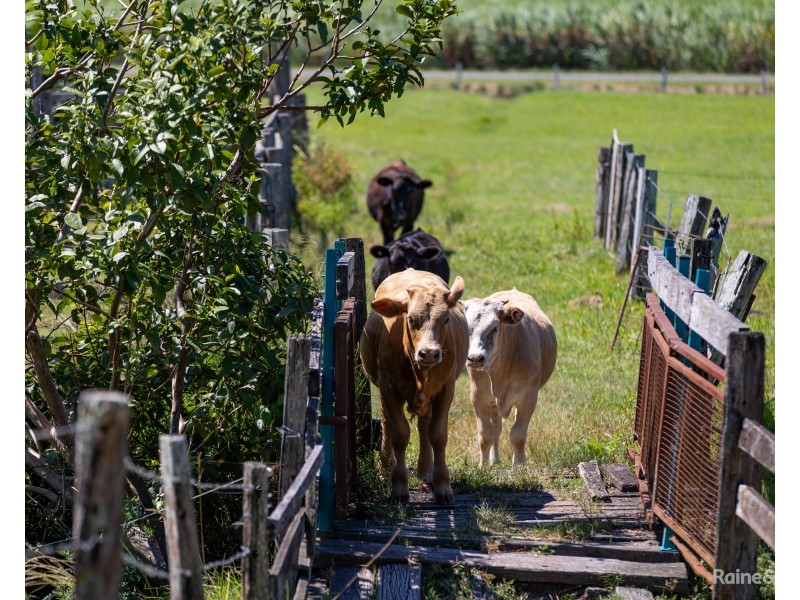 408 Eviron Road, Eviron NSW 2484