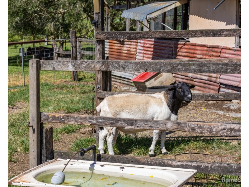 408 Eviron Road, Eviron NSW 2484