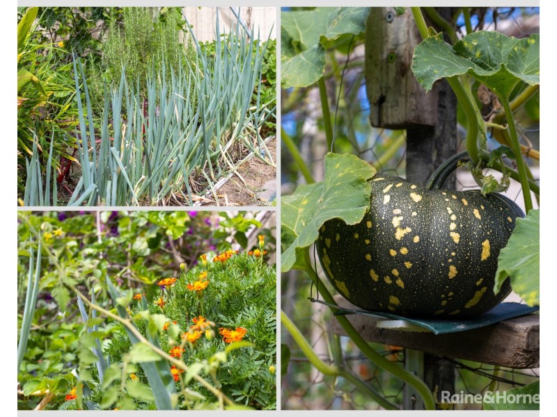 42 Sugar Glider Drive, Pottsville NSW 2489