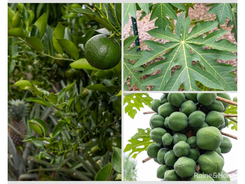 2/111 Lennox Circuit, Pottsville NSW 2489