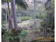 614 Upper Burringbar Road, Upper Burringbar NSW 2483