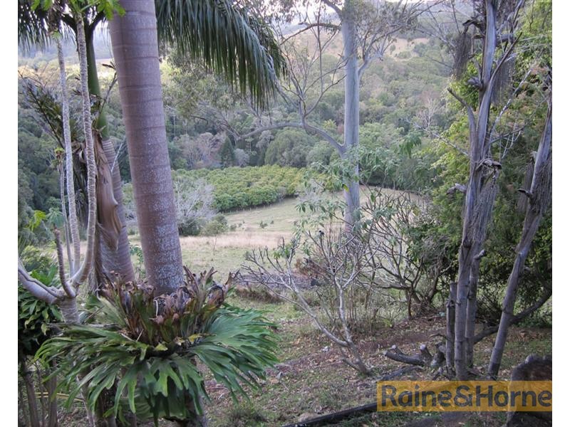 614 Upper Burringbar Road, Upper Burringbar NSW 2483