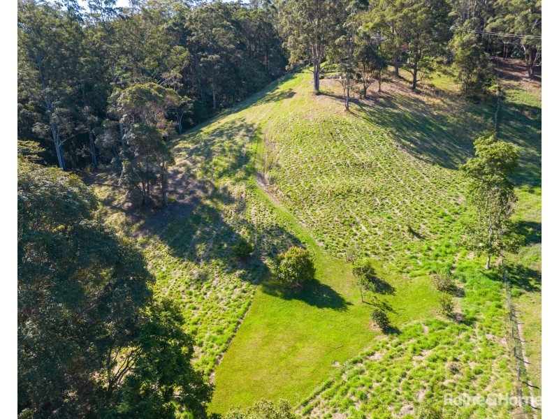 921 Round Mountain Road, Reserve Creek NSW 2484