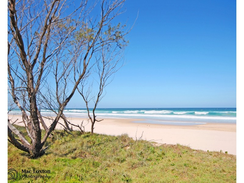 11/4 Boronia Avenue, Pottsville NSW 2489