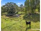 41 Warwick Park Road, Sleepy Hollow NSW 2483
