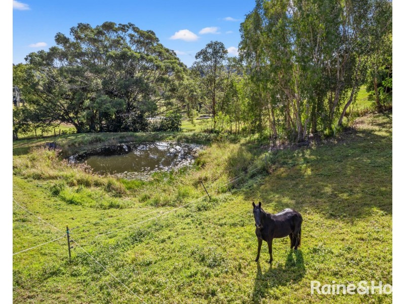 41 Warwick Park Road, Sleepy Hollow NSW 2483