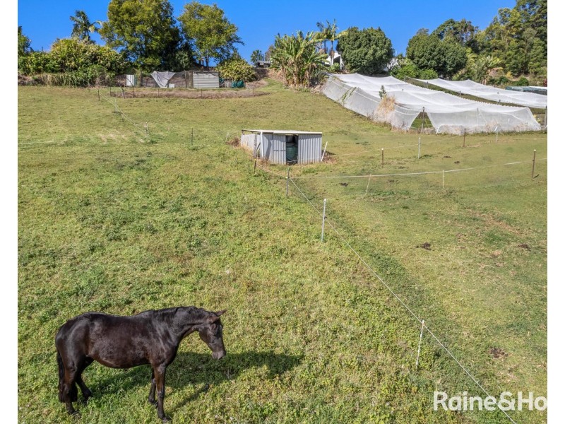 41 Warwick Park Road, Sleepy Hollow NSW 2483