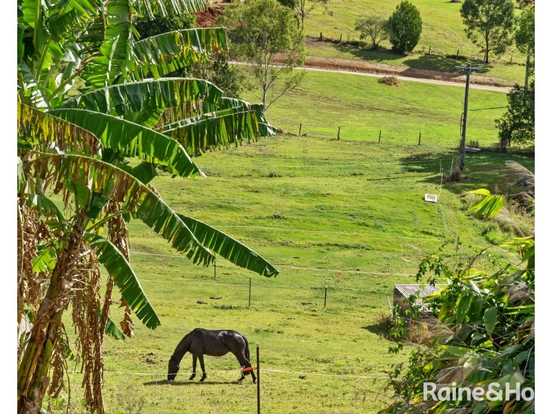 41 Warwick Park Road, Sleepy Hollow NSW 2483