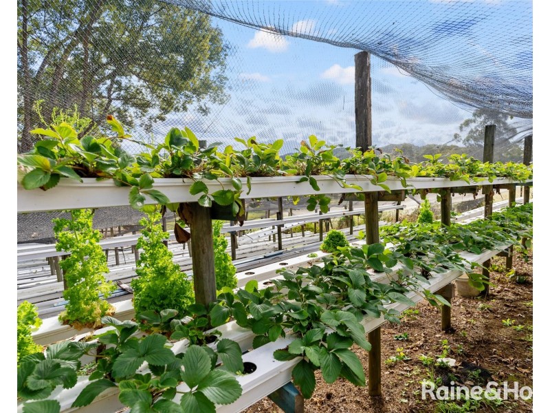 41 Warwick Park Road, Sleepy Hollow NSW 2483