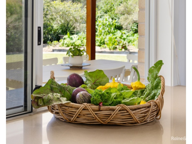 28 Toshack Place, Pottsville NSW 2489