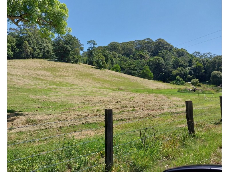 113 Harwood Road, Burringbar NSW 2483