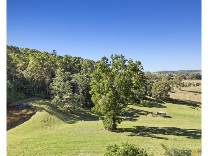 55 Wallum Court, Reserve Creek NSW 2484