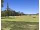 1141 Reserve Creek Road, Reserve Creek NSW 2484