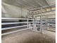 1141 Reserve Creek Road, Reserve Creek NSW 2484