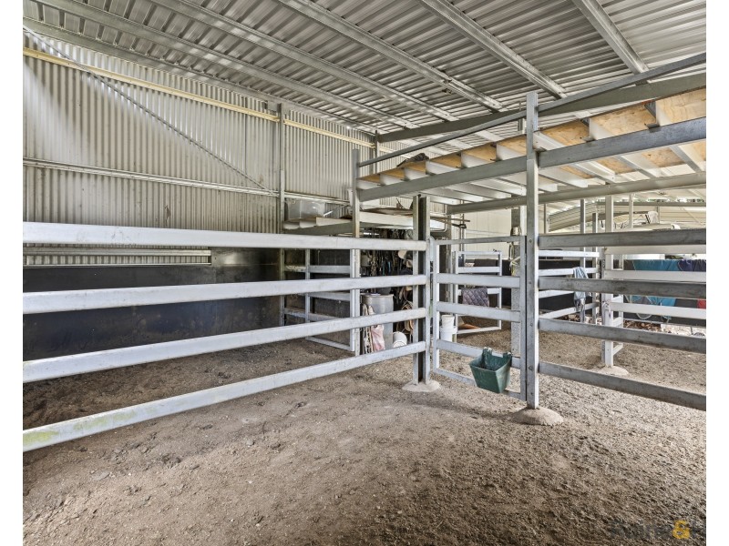 1141 Reserve Creek Road, Reserve Creek NSW 2484