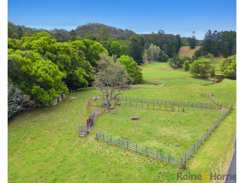 1141 Reserve Creek Road, Reserve Creek NSW 2484