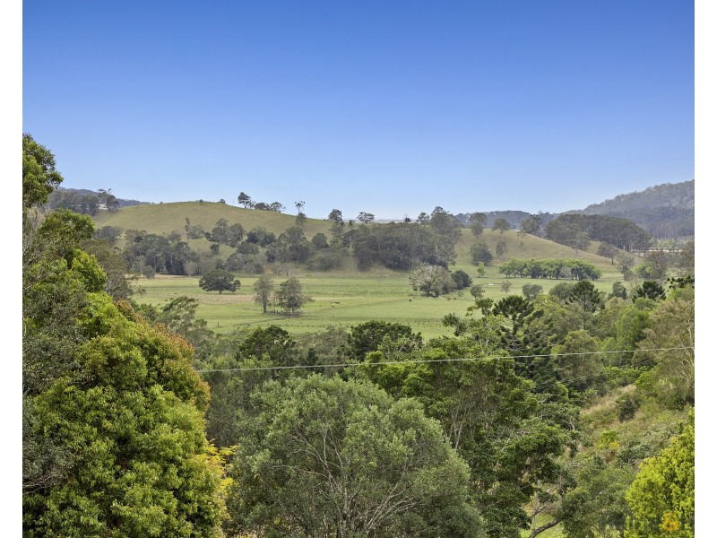 1141 Reserve Creek Road, Reserve Creek NSW 2484