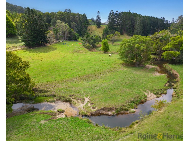 1141 Reserve Creek Road, Reserve Creek NSW 2484