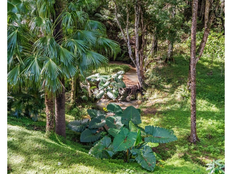 126 Harwood Road, Burringbar NSW 2483