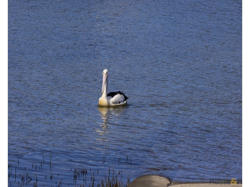 3 Anne Street, Pottsville NSW 2489